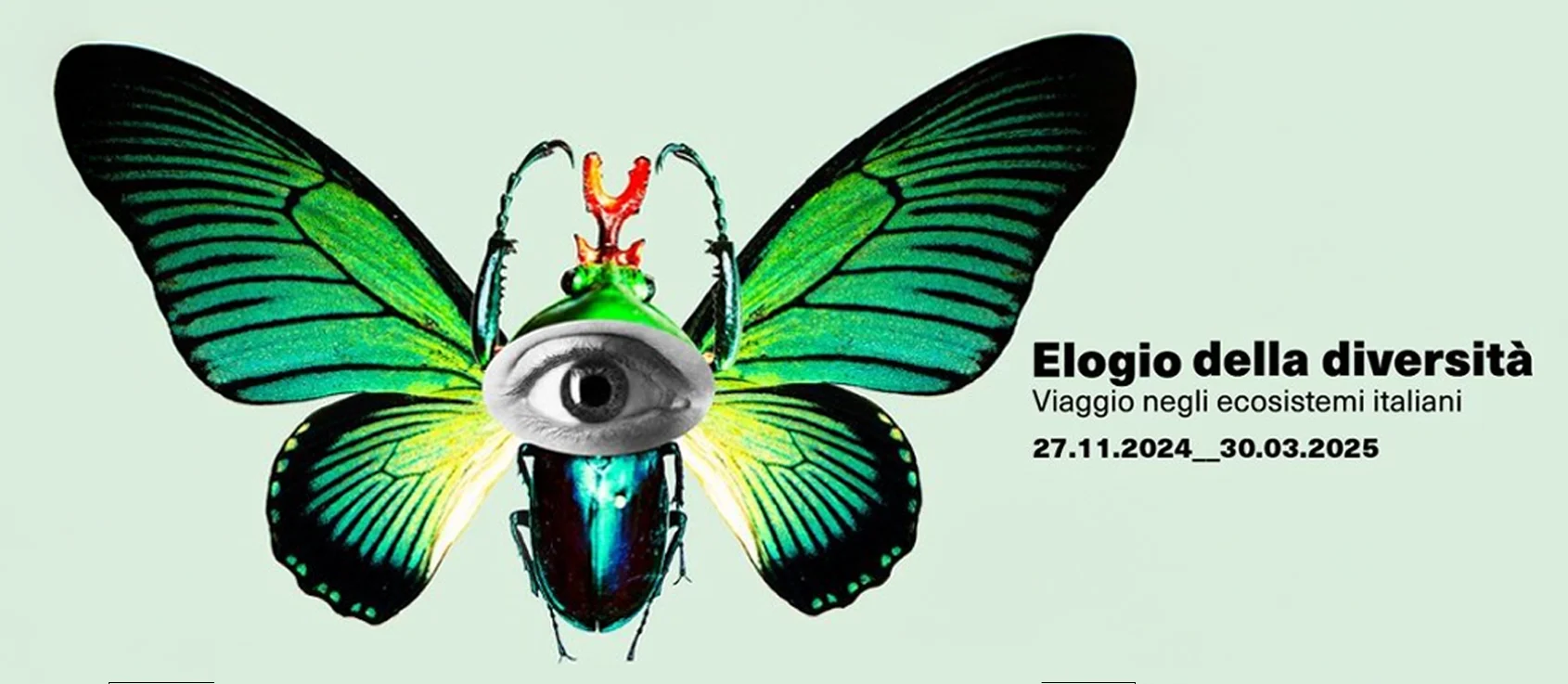 le-reve-de-naim-magazine-rome-in-praise-of-diversity-hero